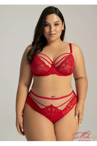 Мереживний бюстгальтер з м'якою чашкою AVA 18241