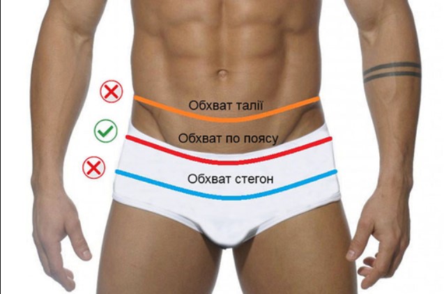 об'єм стегон